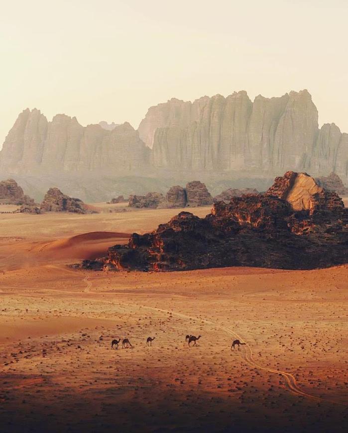 Wadi Rum Desert Camp 외부 사진